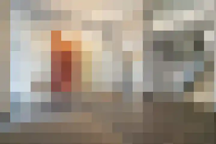 Dommelhoefstraat 100 Eindhoven thumbnail 34