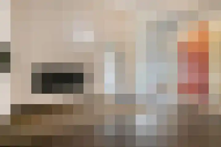 Dommelhoefstraat 100 Eindhoven thumbnail 35