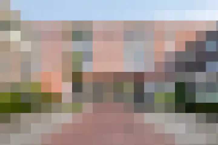 Dommelhoefstraat 100 Eindhoven thumbnail 38