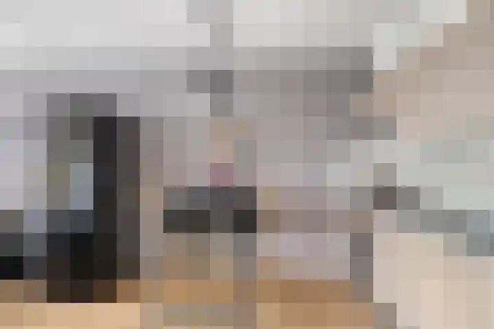 Dommelhoefstraat 100 Eindhoven thumbnail 4
