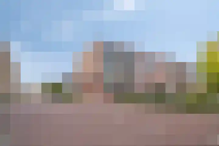 Dommelhoefstraat 100 Eindhoven thumbnail 7