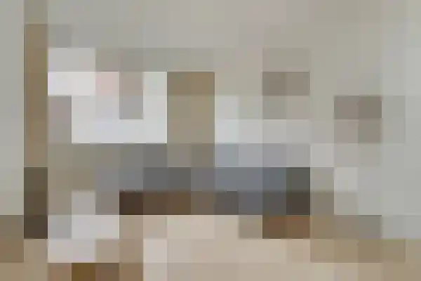 Dommelhoefstraat 116 Eindhoven thumbnail 4