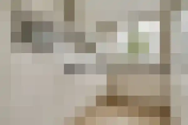 Dommelhoefstraat 116 Eindhoven thumbnail 8
