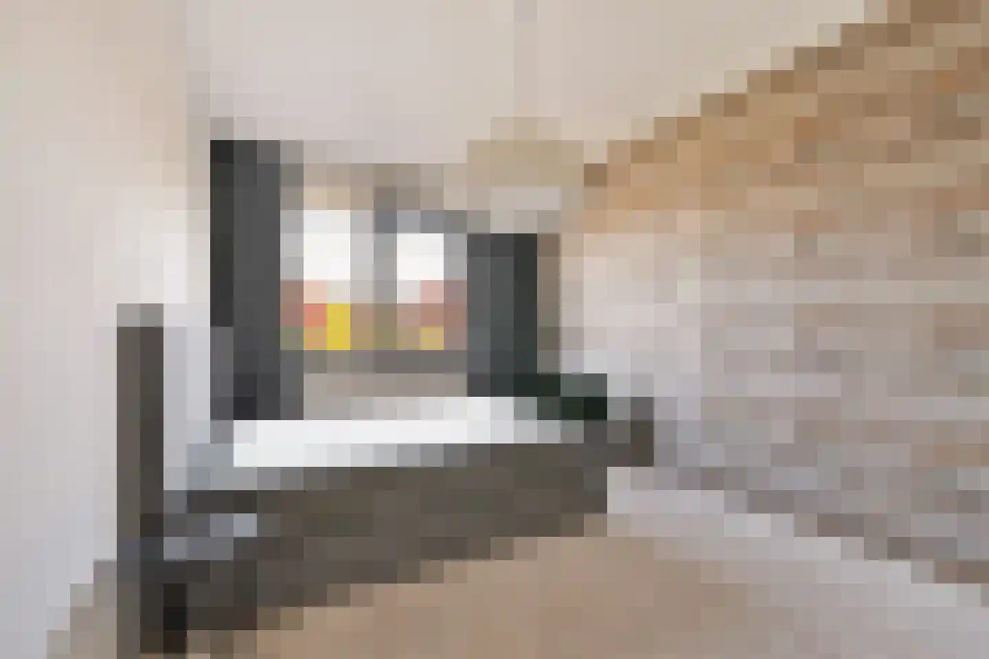 Dommelhoefstraat 39 Eindhoven thumbnail 20