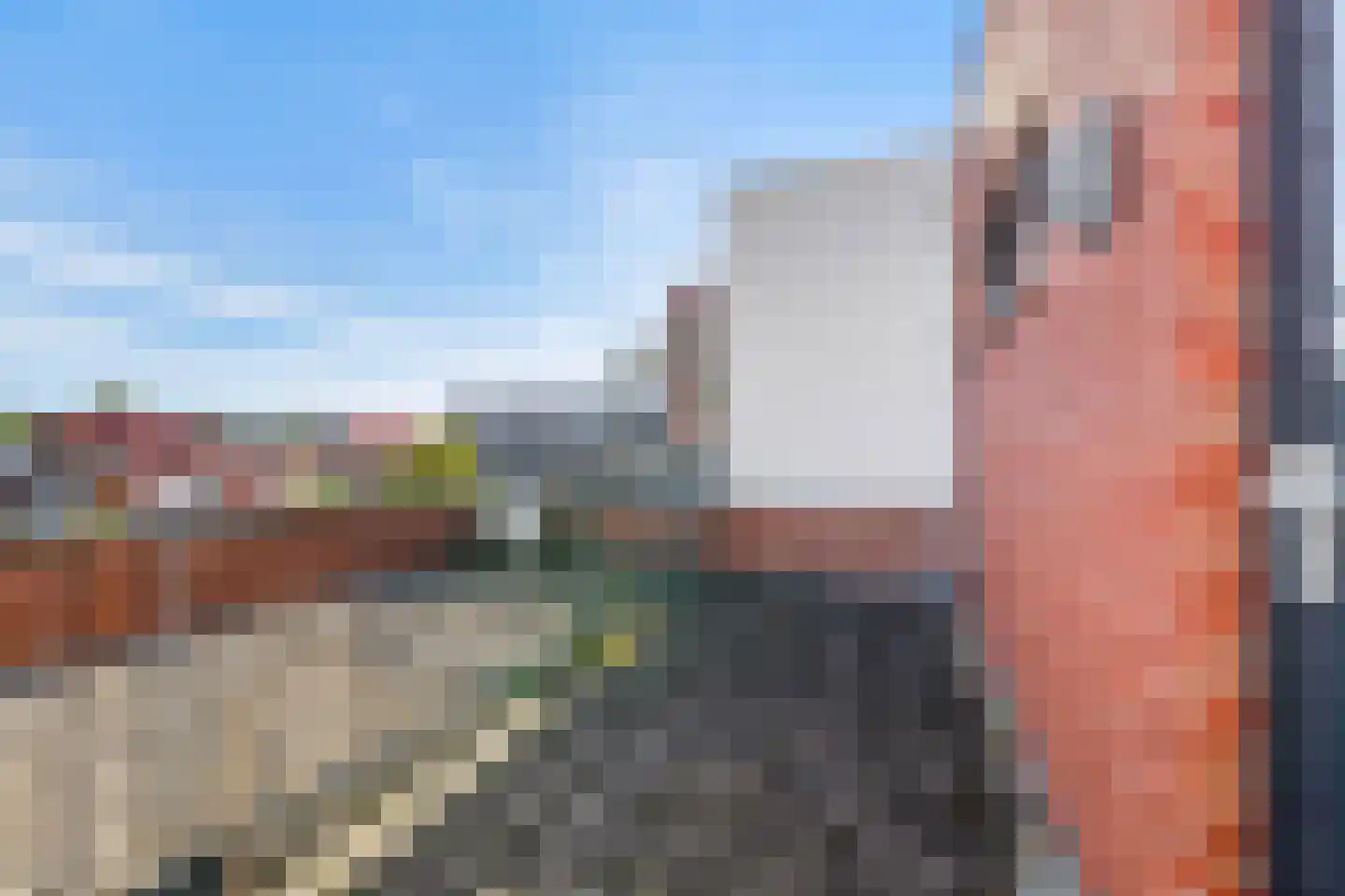Dommelhoefstraat 39 Eindhoven thumbnail 41