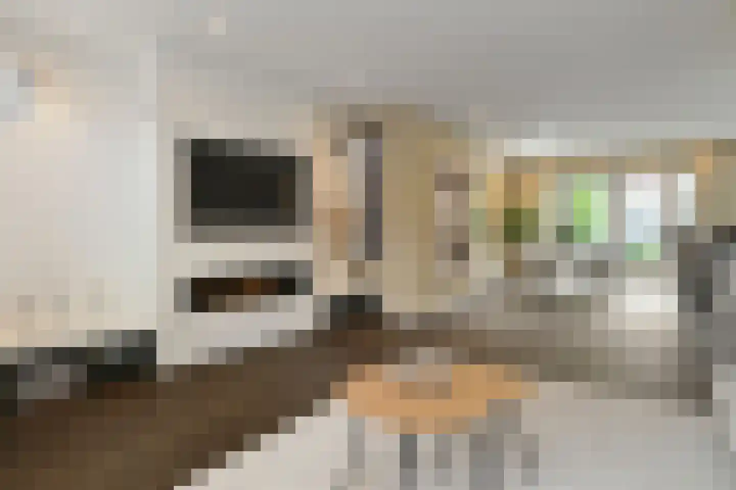 Dommelhoefstraat 44 Eindhoven thumbnail 11