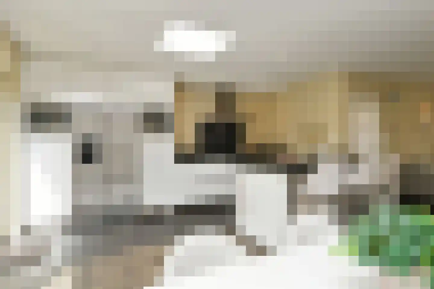 Dommelhoefstraat 44 Eindhoven thumbnail 17