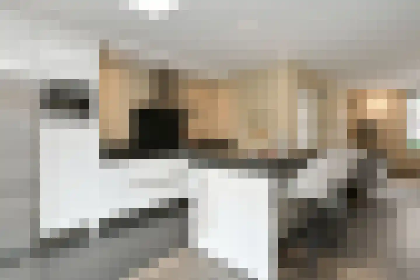 Dommelhoefstraat 44 Eindhoven thumbnail 18