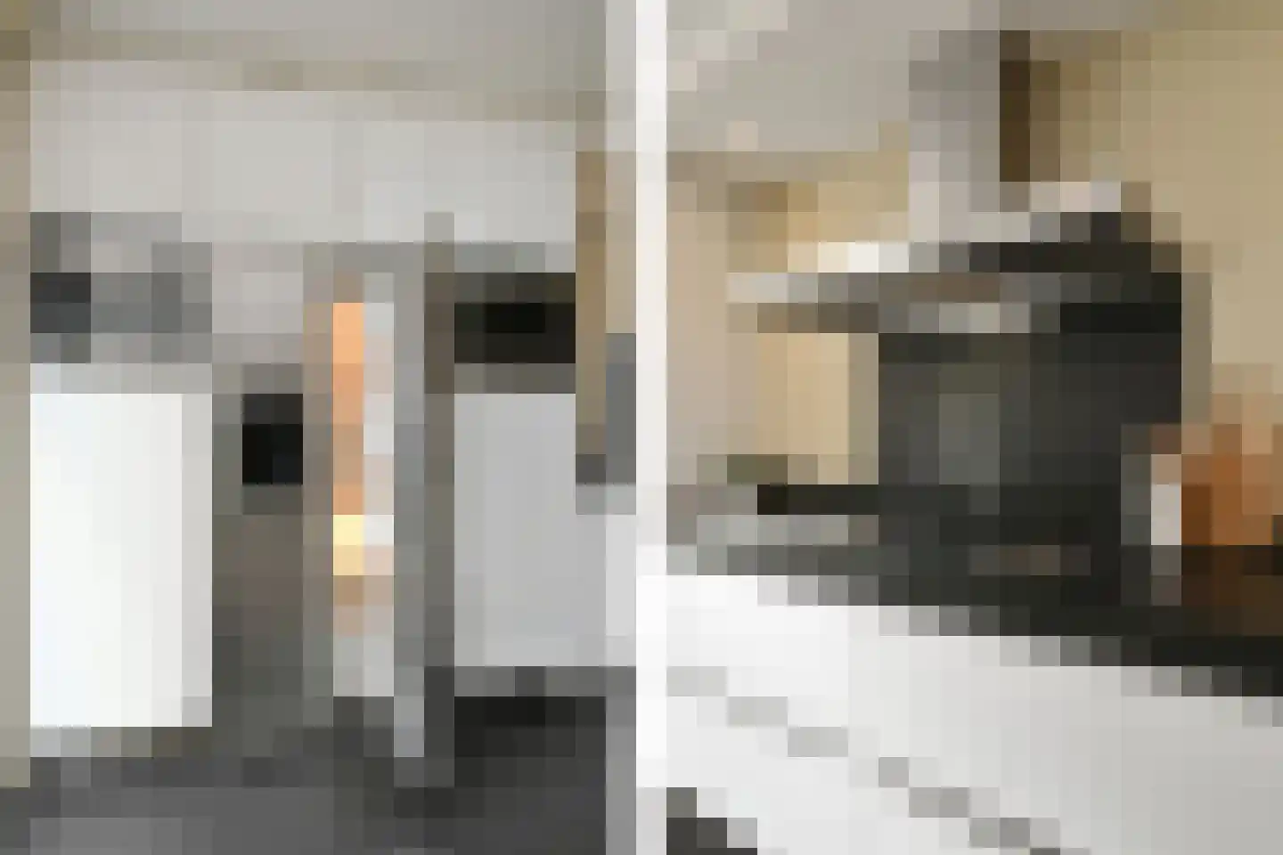 Dommelhoefstraat 44 Eindhoven thumbnail 20