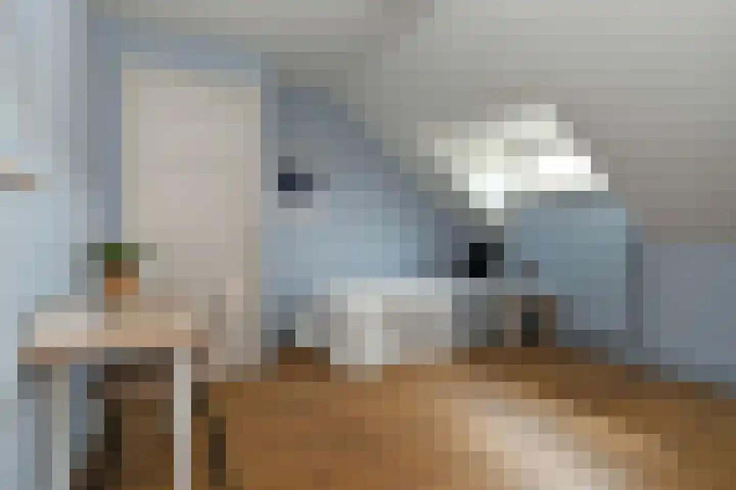 Dommelhoefstraat 44 Eindhoven thumbnail 38