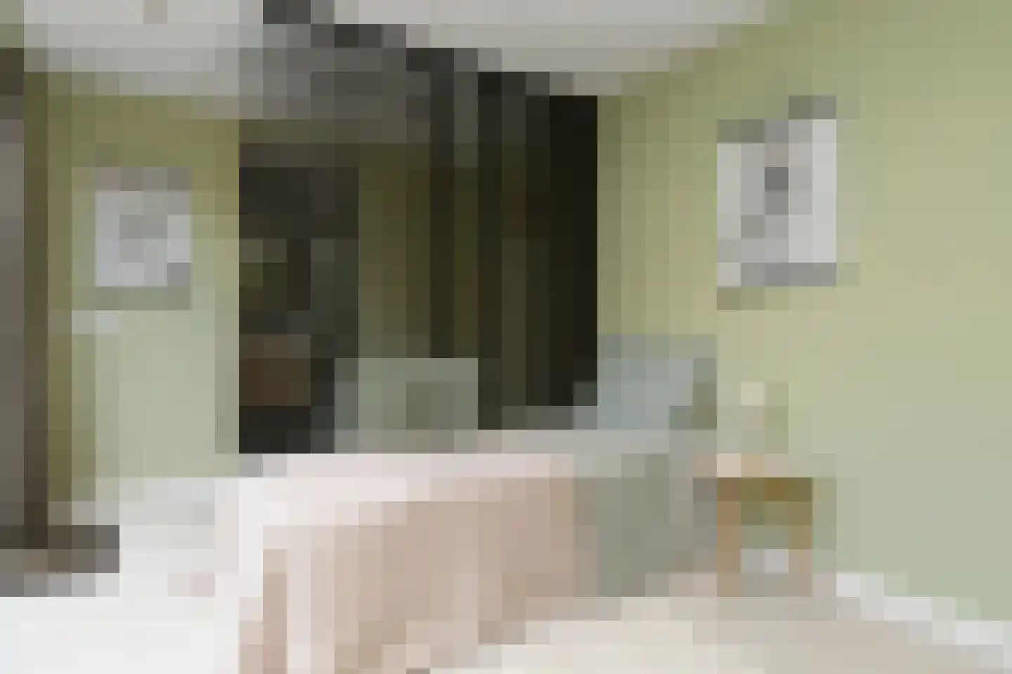 Dommelhoefstraat 44 Eindhoven thumbnail 45