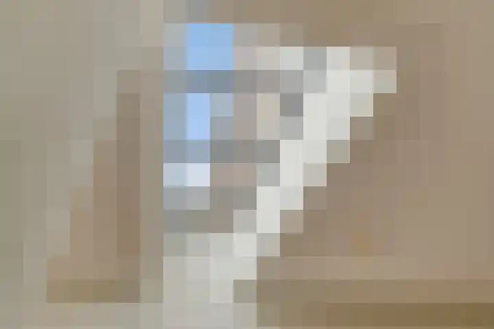 Dommelhoefstraat 52 Eindhoven thumbnail 11