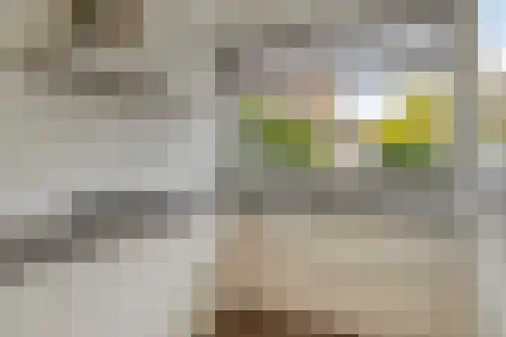 Dommelhoefstraat 52 Eindhoven thumbnail 16