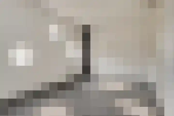 Dommelhoefstraat 52 Eindhoven thumbnail 18