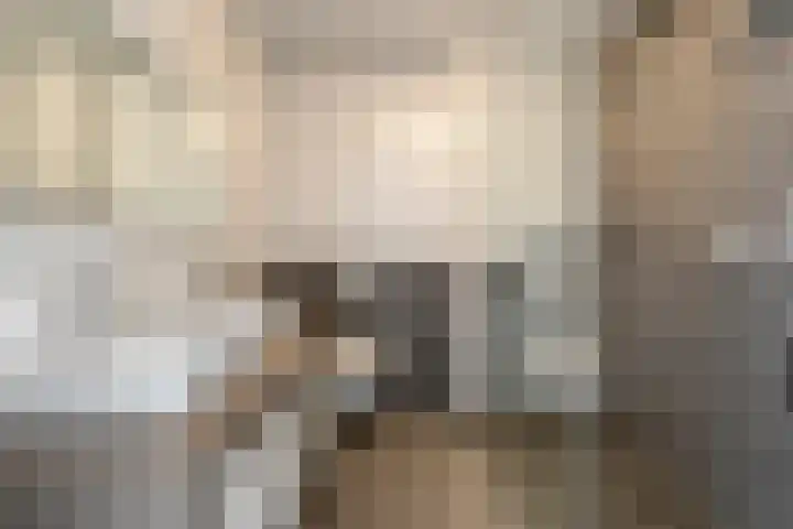 Dommelhoefstraat 52 Eindhoven thumbnail 19