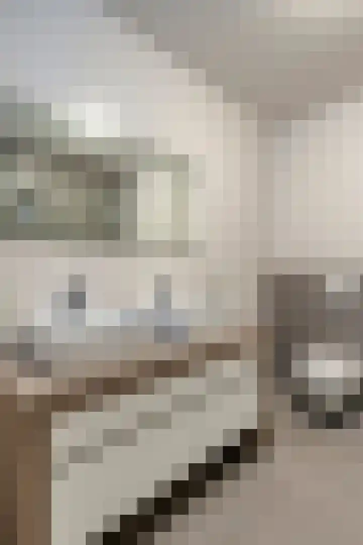 Dommelhoefstraat 52 Eindhoven thumbnail 21
