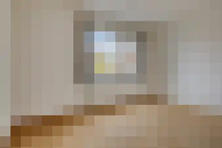 Dommelhoefstraat 52 Eindhoven thumbnail 22