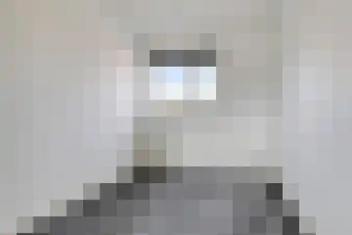Dommelhoefstraat 52 Eindhoven thumbnail 25