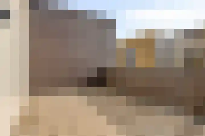 Dommelhoefstraat 52 Eindhoven thumbnail 26