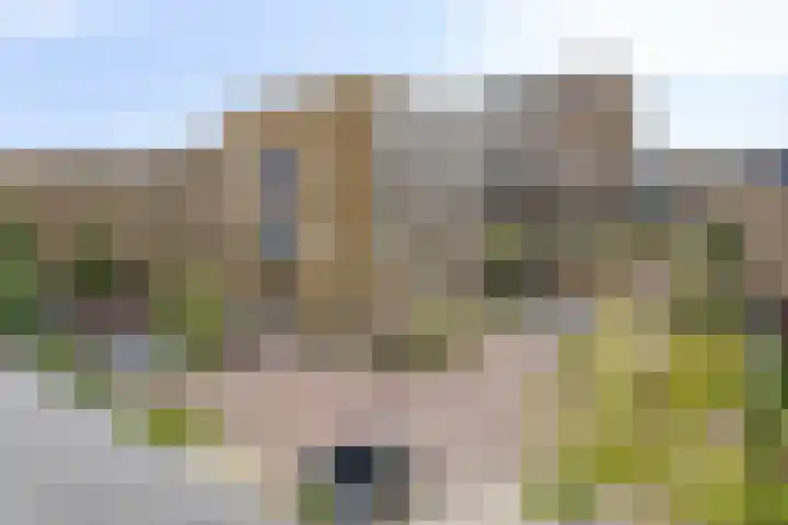 Dommelhoefstraat 52 Eindhoven thumbnail 27