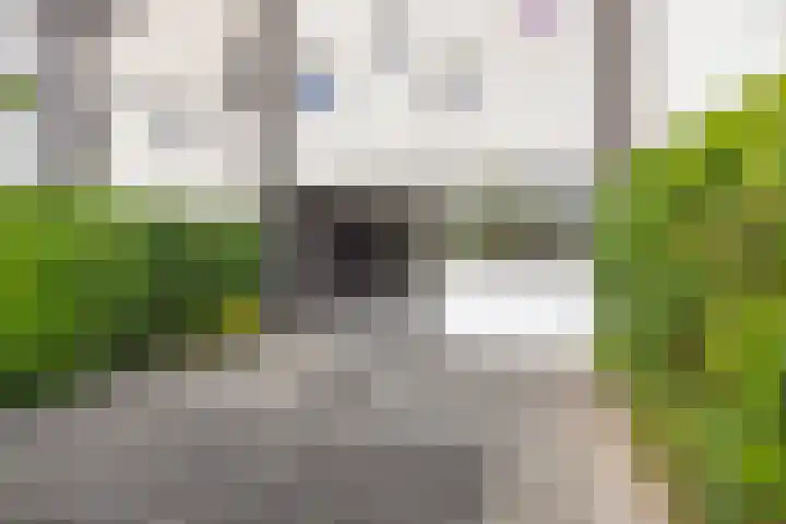 Dommelhoefstraat 52 Eindhoven thumbnail 28