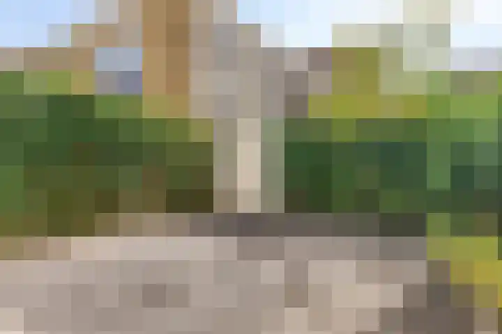 Dommelhoefstraat 52 Eindhoven thumbnail 30