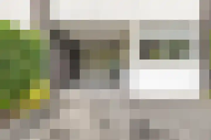 Dommelhoefstraat 52 Eindhoven thumbnail 31