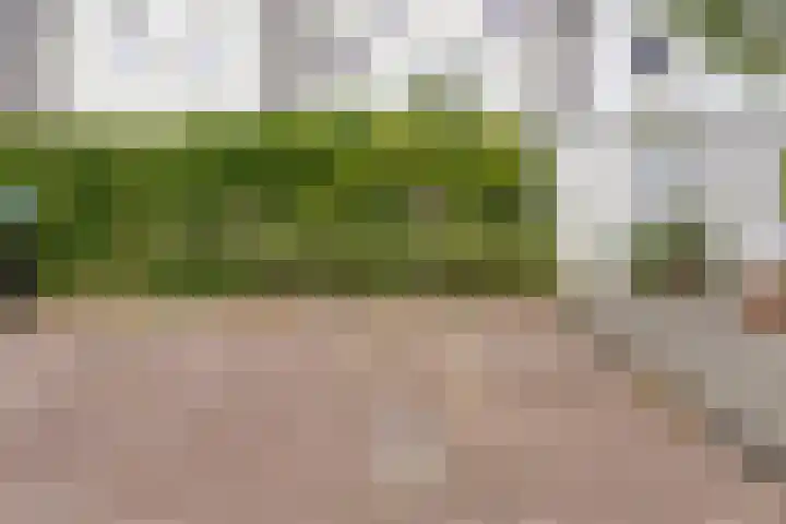 Dommelhoefstraat 52 Eindhoven thumbnail 33