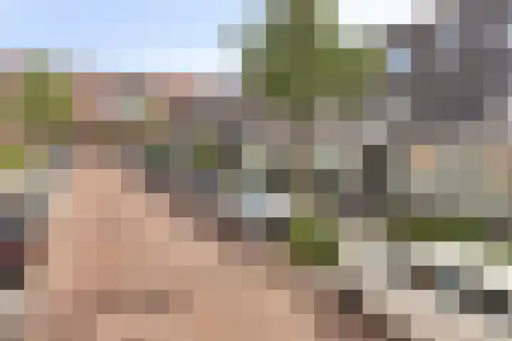 Dommelhoefstraat 52 Eindhoven thumbnail 35