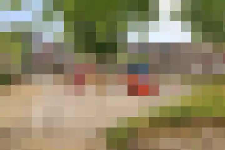 Dommelhoefstraat 52 Eindhoven thumbnail 36