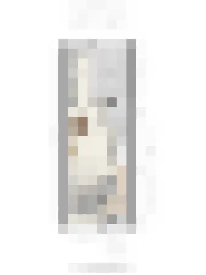 Dommelhoefstraat 52 Eindhoven thumbnail 38