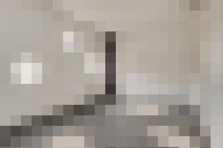 Dommelhoefstraat 52 Eindhoven thumbnail 4