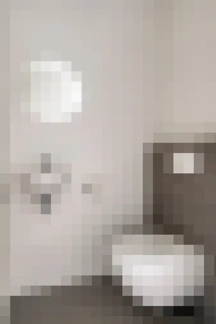 Dommelhoefstraat 52 Eindhoven thumbnail 9