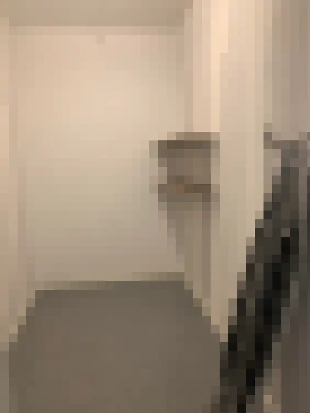 Dommelhoefstraat 68 Eindhoven thumbnail 6