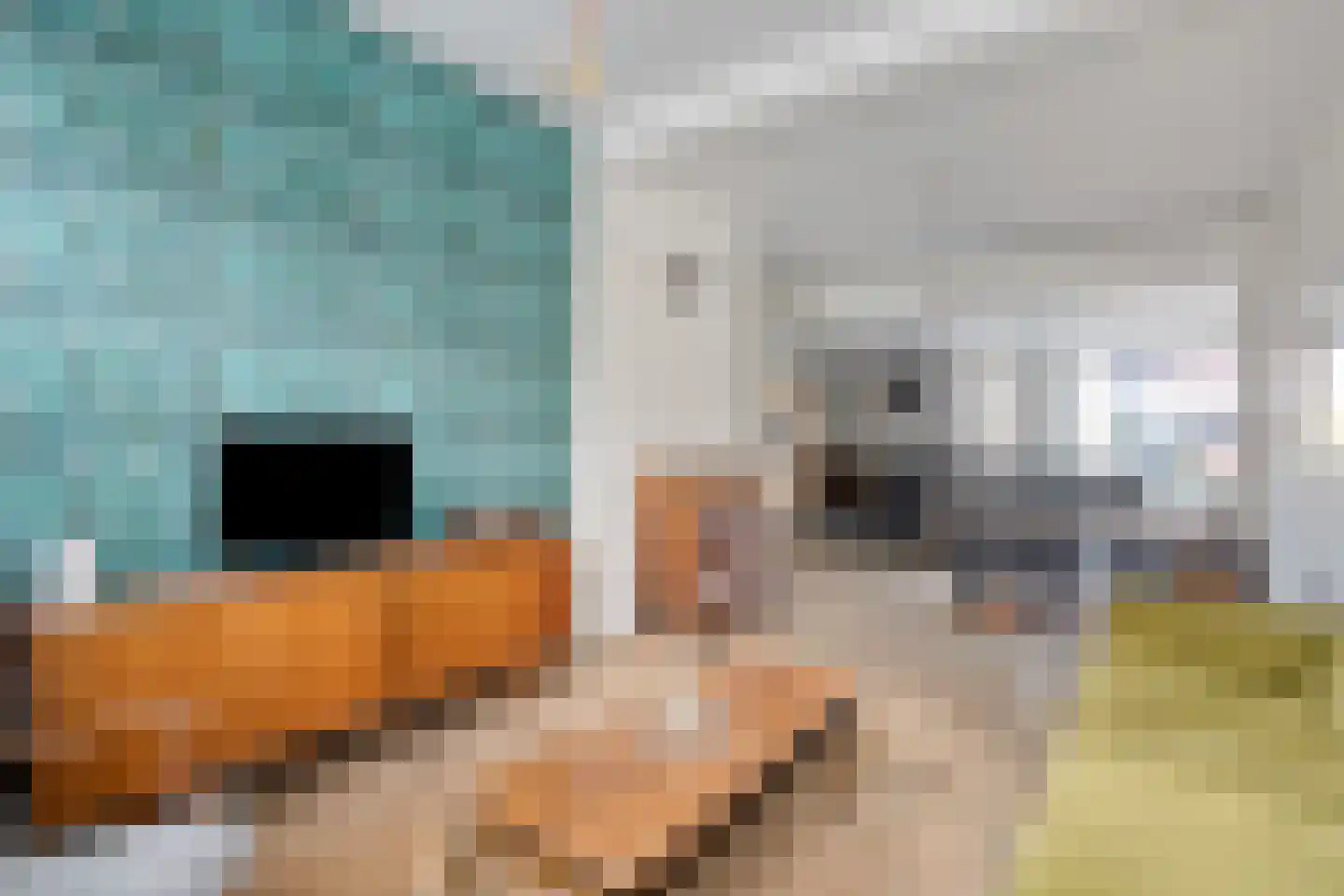 Dommelhoefstraat 7 Eindhoven thumbnail 17