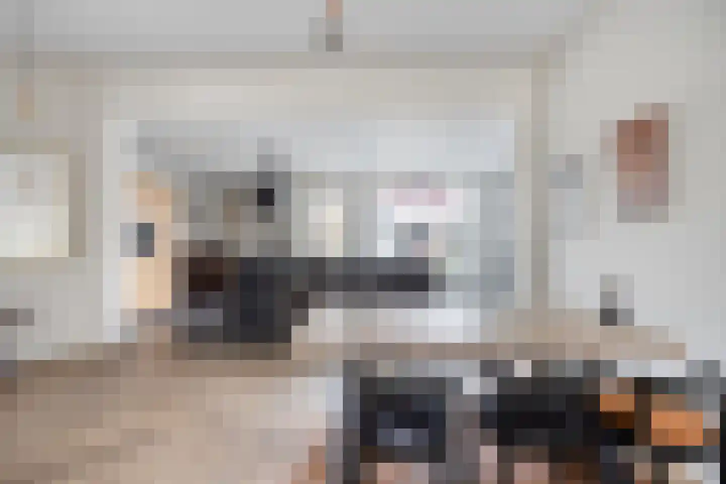 Dommelhoefstraat 7 Eindhoven thumbnail 18
