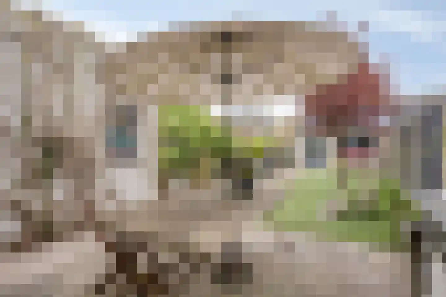 Dommelhoefstraat 7 Eindhoven thumbnail 45
