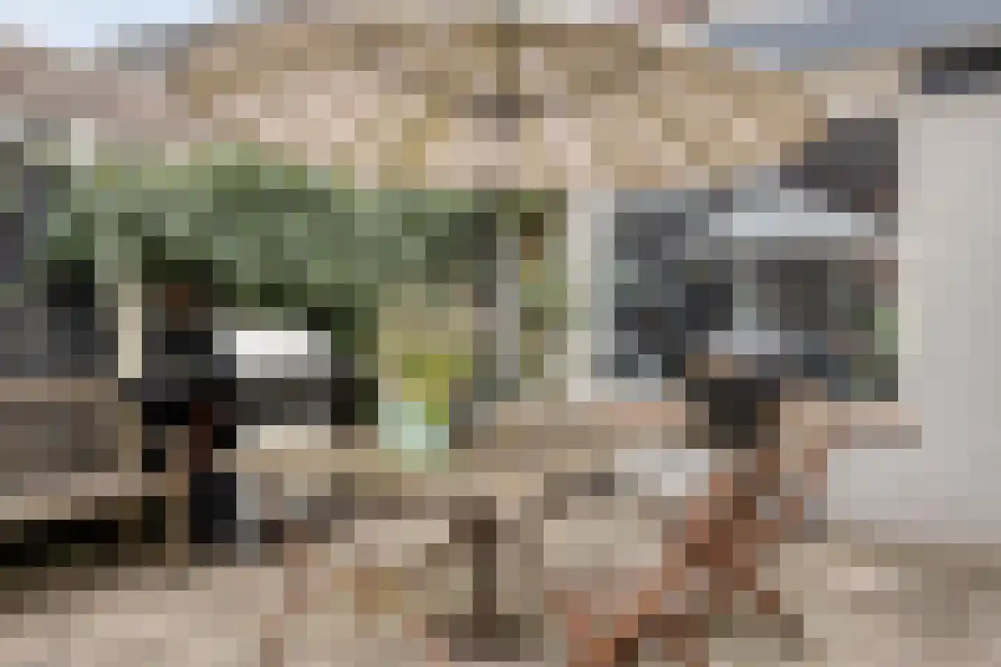Dommelhoefstraat 7 Eindhoven thumbnail 46