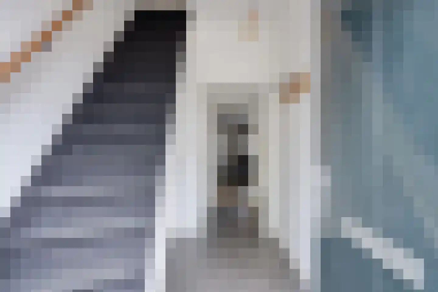Dommelhoefstraat 7 Eindhoven thumbnail 9