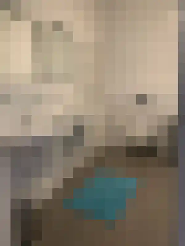 Dommelhoefstraat Eindhoven thumbnail 5