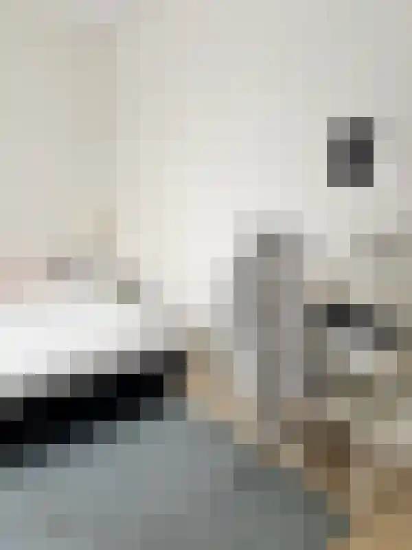 Dommelhoefstraat Eindhoven thumbnail 6