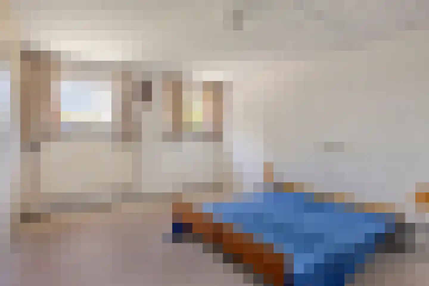 Dommeloord 41 Boxtel thumbnail 21