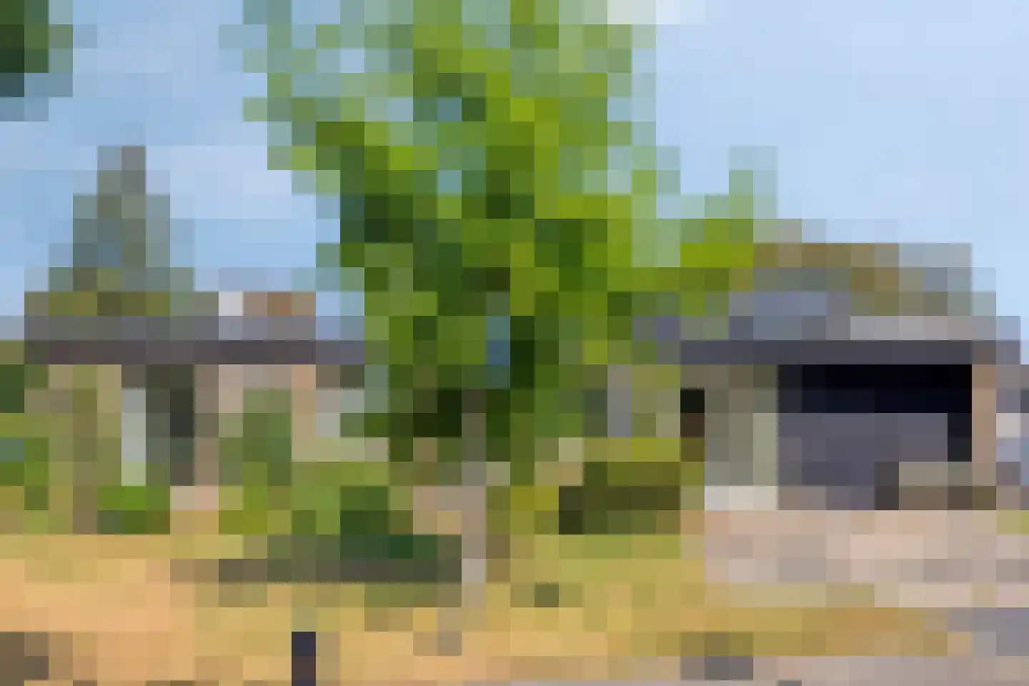 Dommeloord 41 Boxtel thumbnail 31