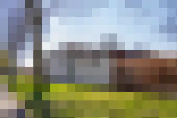 Dommeloord 54 Boxtel thumbnail 29