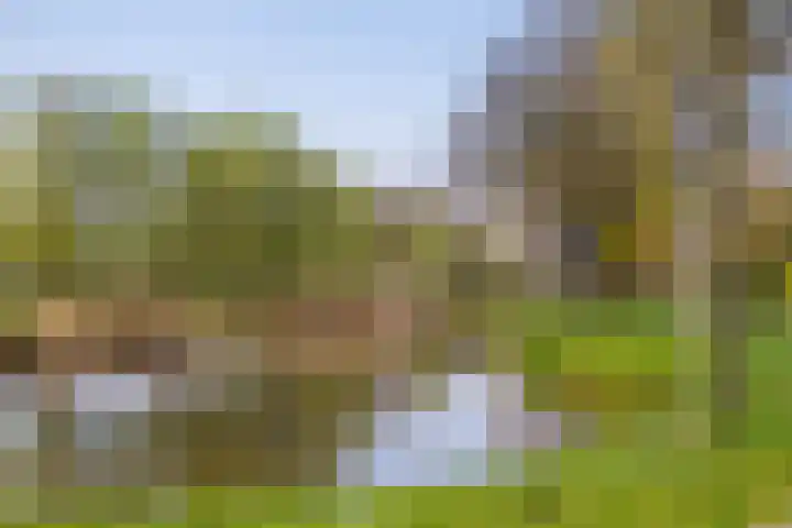 Dommeloord 54 Boxtel thumbnail 37