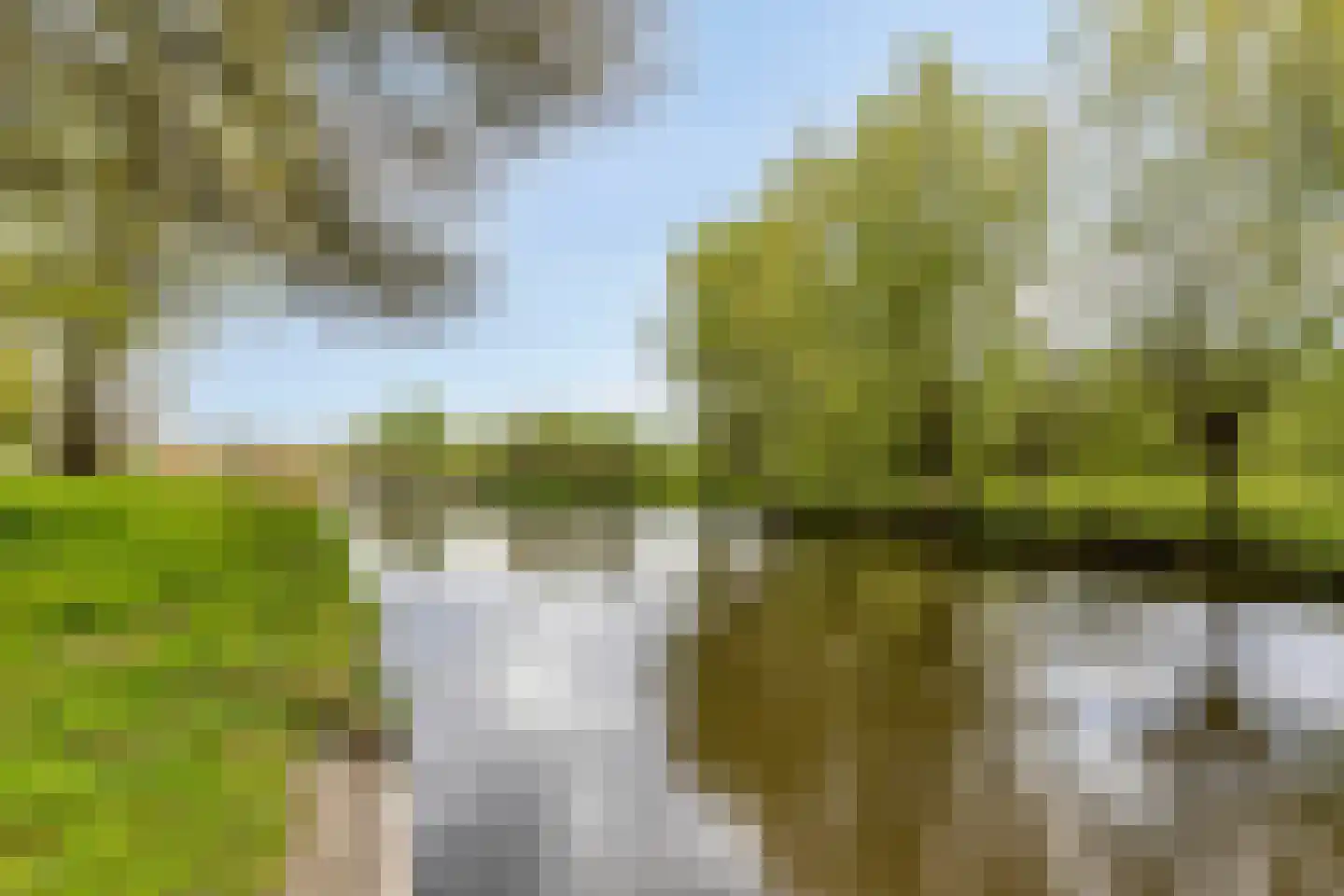 Dommeloord 61 Boxtel thumbnail 42