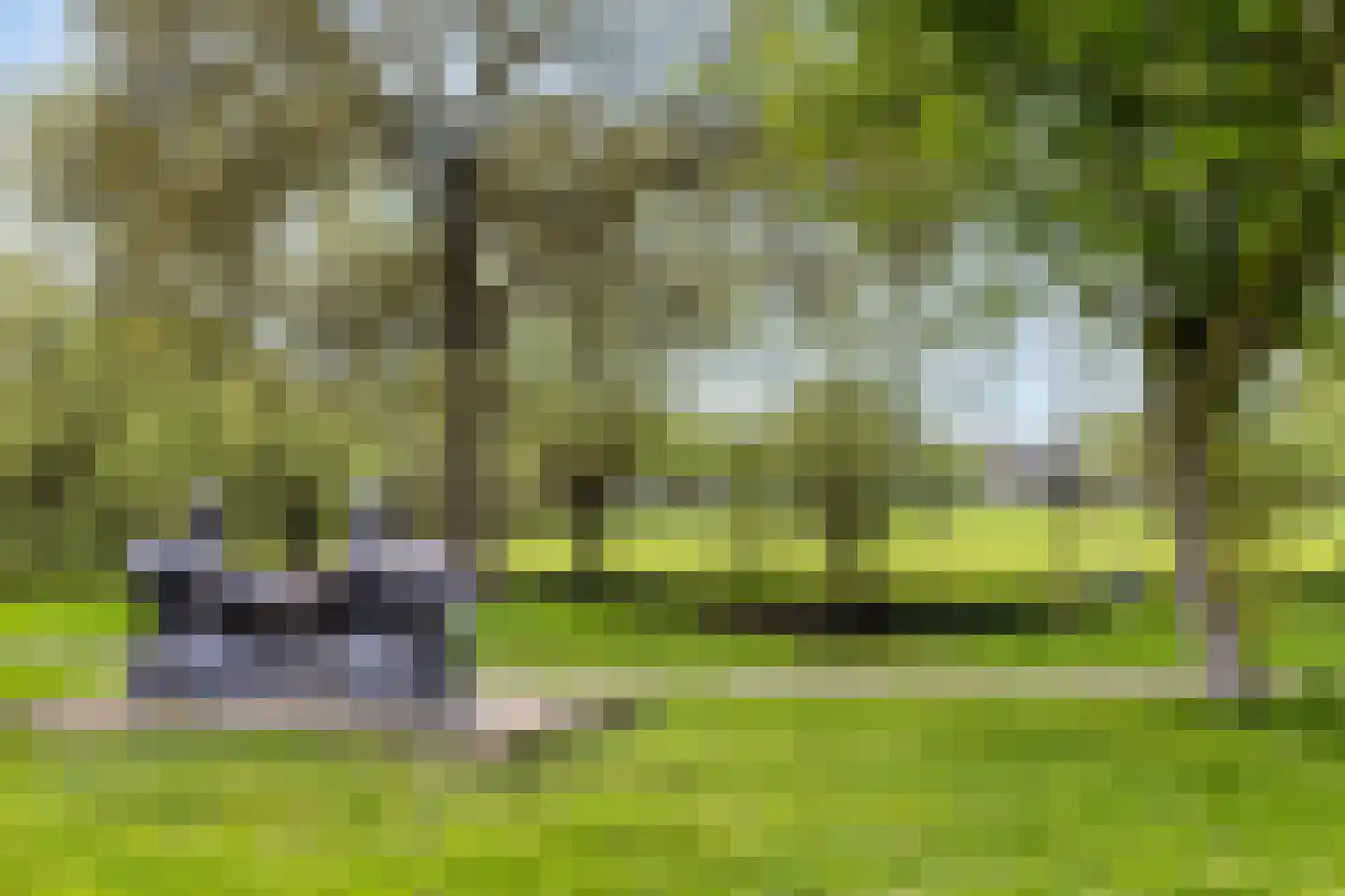 Dommeloord 61 Boxtel thumbnail 43