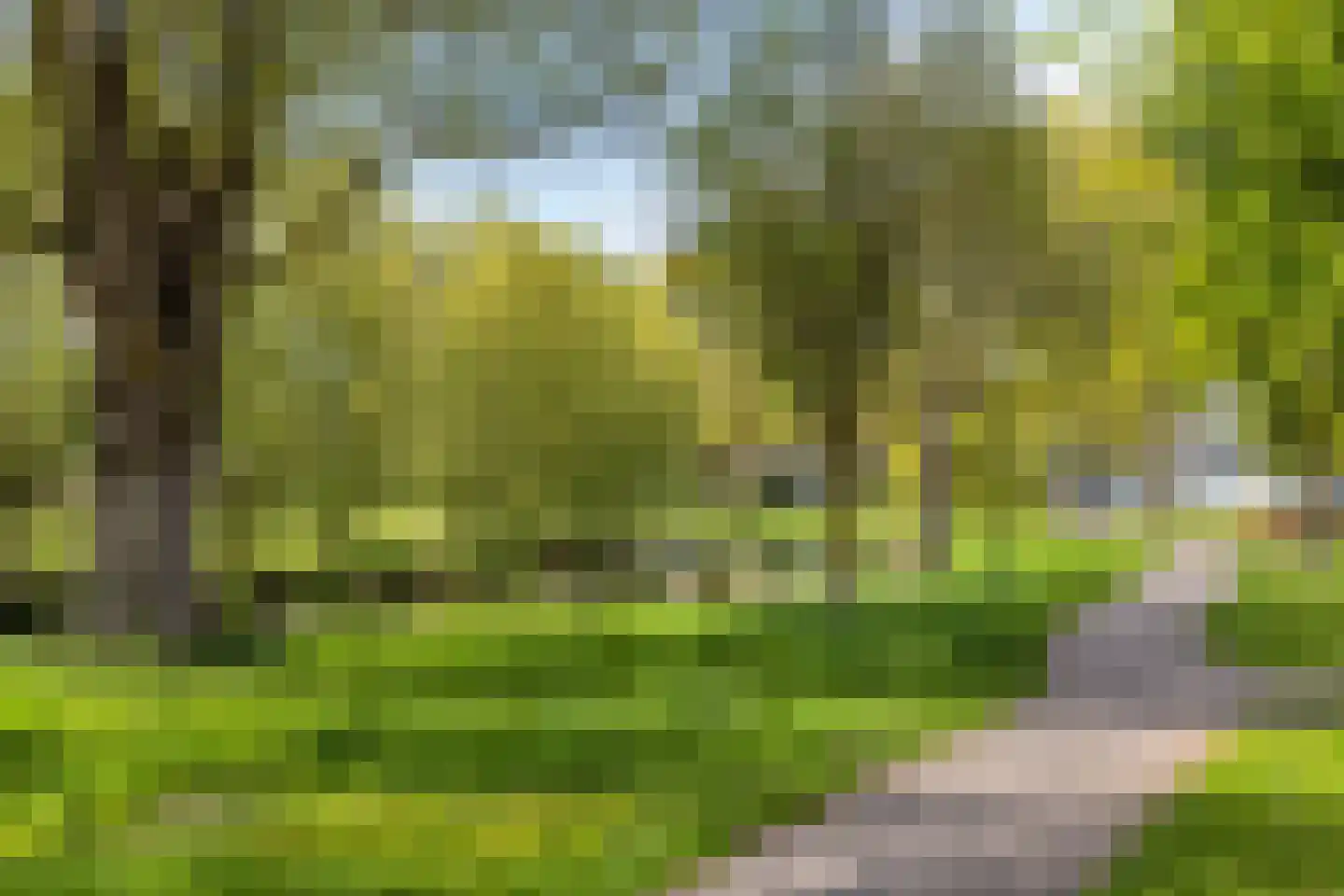 Dommeloord 61 Boxtel thumbnail 45