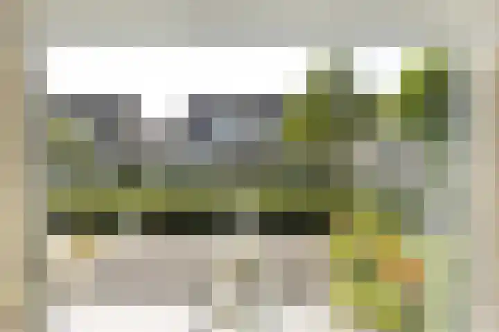 Dommelrode 3 Koudekerke thumbnail 10