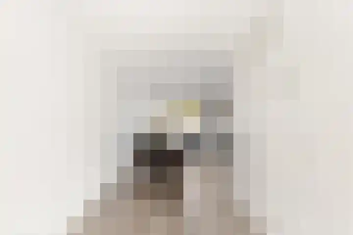 Dommelrode 3 Koudekerke thumbnail 11